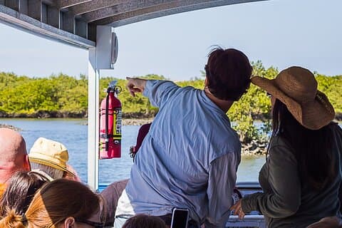 Discovery Dolphin Boat Tour
