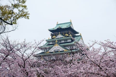 Osaka Castle & Samurai Tour: Entry Included Option