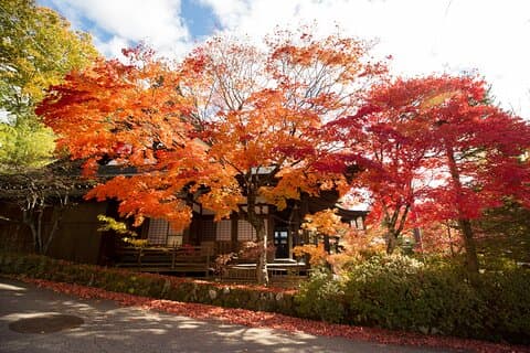 Visite à pied d'une demi-journée des pierres précieuses cachées et du temple de Takayama