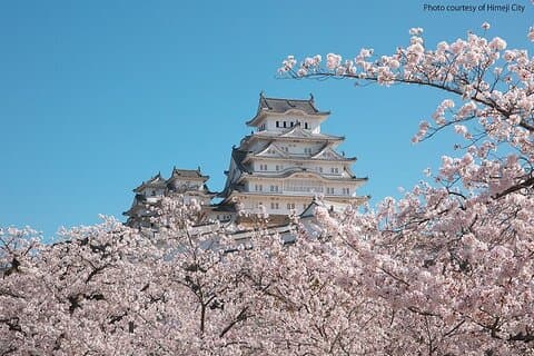 京都から行く姫路城と明石海峡橋ウォーキングツアー