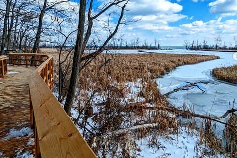 Restauranter i nærheten av Rattray Marsh Nature Escape