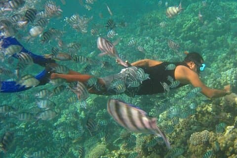 Nha Trang Snorkeling Pesca Barbacoa y Mini tour de relajación en la playa