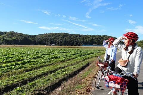 KIBI Cycling Food or Strawberry Pick Tour with licensed guide