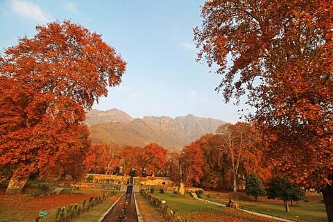 Kashmir The Paradise on Earth Tour 4 Days and 3 Nights