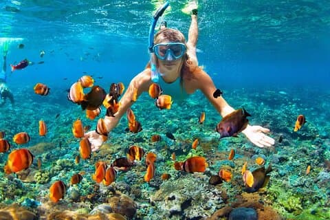 Explorez la baie de Nha Trang: Plongée en apnée sur l'île de Mun et les récifs coralliens