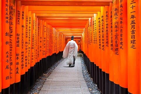 Visita turística de um dia a partir de Osaka ou Kyoto