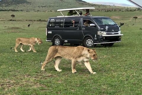 Nairobi Nationalpark, Karen Blixen, Kulturelle Tanzshow und Abendessen