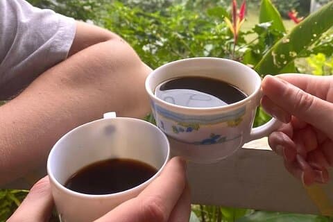 Koffieboerderijtour vanuit Port Antonio