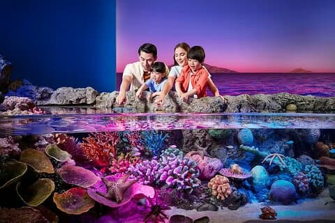Biljetter till SEA LIFE Bangkok Ocean World och Madame Tussauds