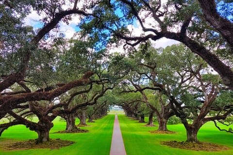 Transport (kun) til en Louisiana Plantation