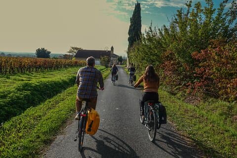 Tour privato in E-Bike di mezza giornata e pranzo con un WineMaker
