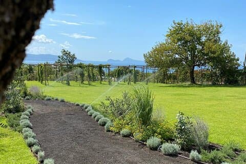 Lunch & Wine Tasting in the National Park of Mt Vesuvius