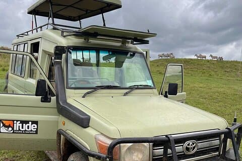 Safari de migração de 8 dias no Serengeti
