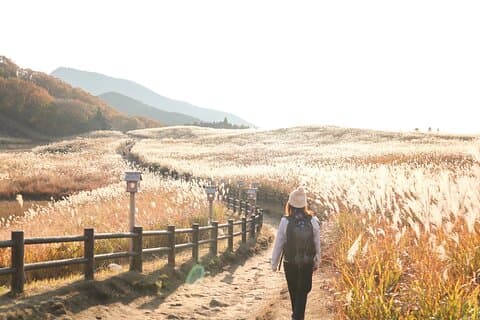 Private Tour From Nagoya: Akame 48 Falls & Soni Highlands Hike