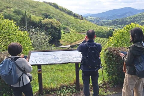 Passeggiata del Cammino di Santiago lungo i vigneti da San Sebastian