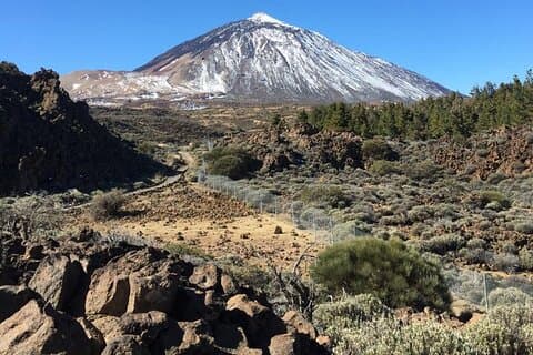 TEIDE : Vip tour “Extraordinary Flowering Discover the Secret”