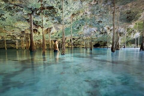 Private 4Cenote Experience, swim in the heart of the Mayan Jungle
