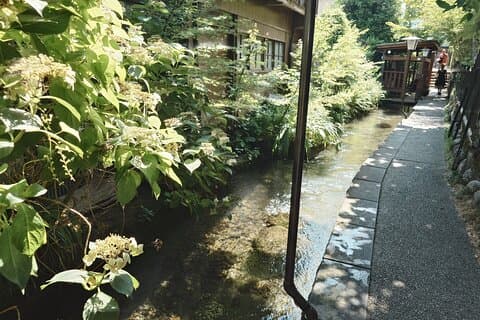 Excursión de un día completo a Gujo Hachiman, una ciudad fortificada, desde Nagoya en coche