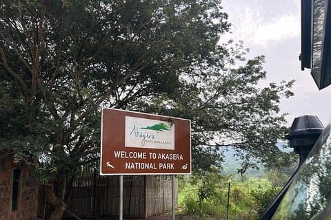 Full dag safari av oppdagelse i Akagera nasjonalparkens dyreliv