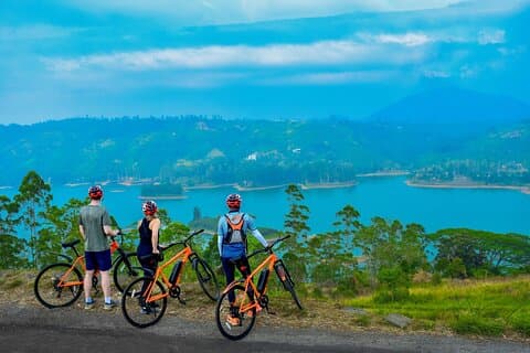 Tea Loops E-Biking