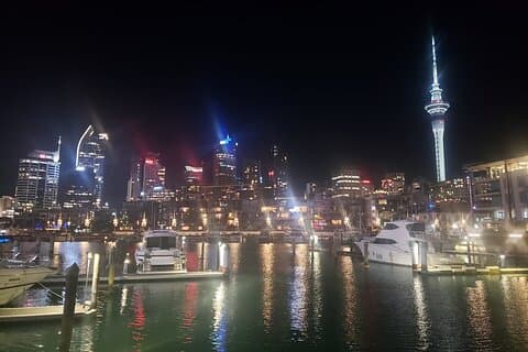 Visite privée d'une demi-journée à Auckland City