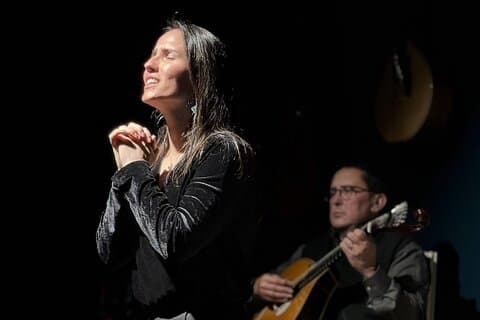Porto vandretur med fado show