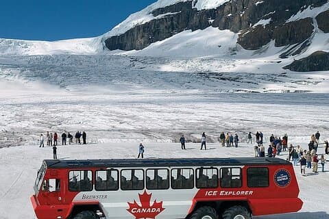 Columbia Icefield,Peyto Lake,Bow Lake Tagesausflug von Banff/Calgary