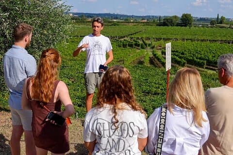 Vingårdstur og smagning af Garda Wines i Lazise