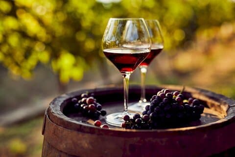 Explore Gaillac Wines Private Tour de meio dia saindo de Toulouse