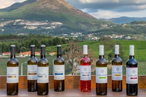Quinta da Raza | Persoonlijke proeverij uw keuzes
