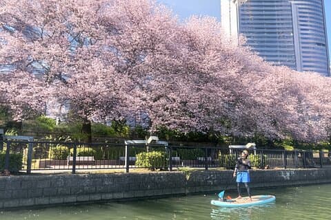Stand up Paddle Boarding oplevelse i Osaka