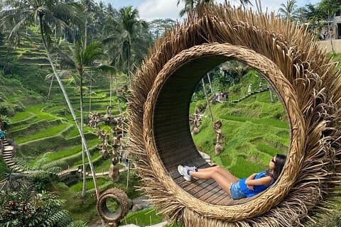 Ubud privat tur : Waterfalls - Monkey Forest og risterrasse