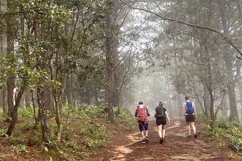 Dalat Pinhatt Peak Jungle Trek and Tuyen Lam Lake