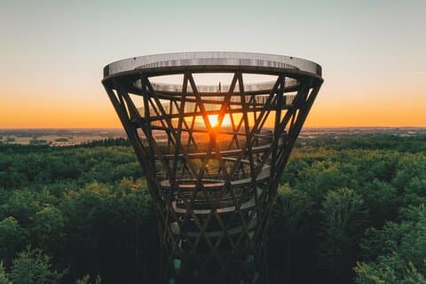The Forest Tower and Forgotten Giants-A day tour from Copenhagen