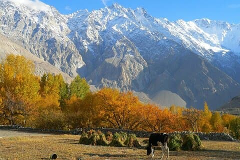 Visite d'automne de 16 jours au Pakistan du Nord Réservez maintenant 2025-26
