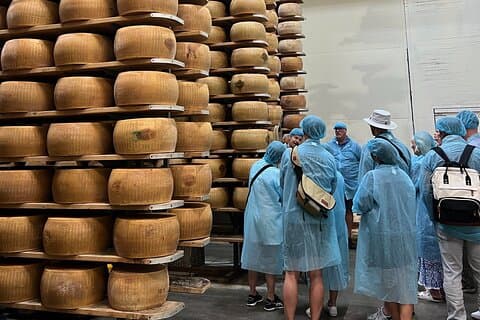 Parmigiano, Balsamico und Ferrari Aromen der Emilia Romagna