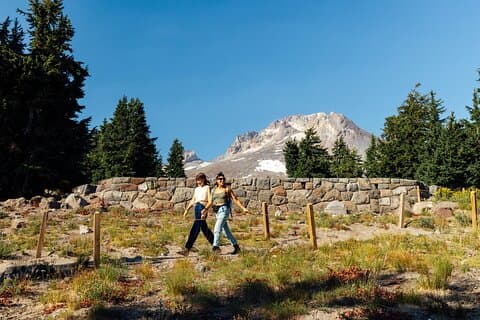 Private Tour at The Hood-Columbia Loop: Timberline, Orchards, and Waterfalls