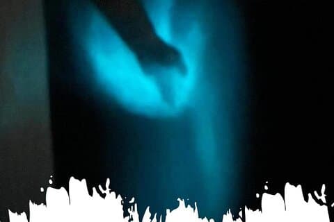 Nage bioluminescente avec les étoiles