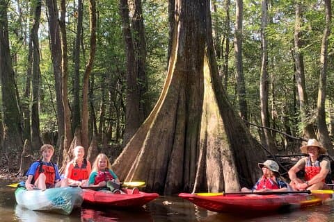 Geführte Kajaktour im Congaree Nationalpark