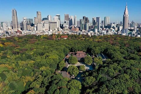 Tokyo: Hoteller i nærheden af Meiji Shrine Walking Tour - Shintoism & Imperial System