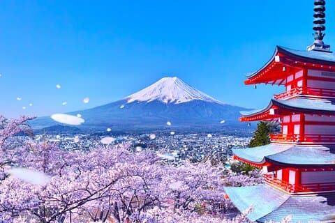 Fra Tokyo: Mount Fuji en dagstur