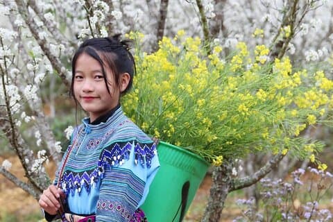 Mai Chau et Moc Chau Excursion de 2 jours au départ de Hanoï