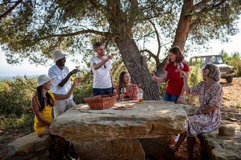 Provence Wine Tour - Lille gruppe tur fra Cannes