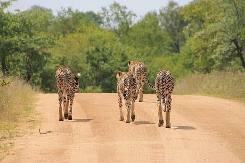 Overnight Group Joining Tour to Tsavo East from Kilindini Harbour