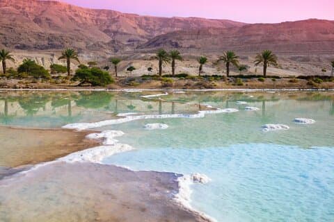 Madaba, Mount Nebo & Dead Sea Day tour