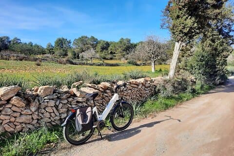 Découvrez Ibiza en E-Bike Santa Gertrudis de Fruitera