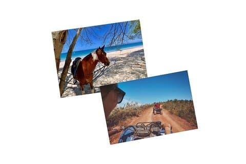 Tour Combo - WRCT Adventures Cavallo privato e ATV / UTV Rides
