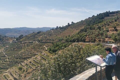 Desde Lisboa : Tour Privado por el Valle del Duero de la UNESCO región de Port Wive