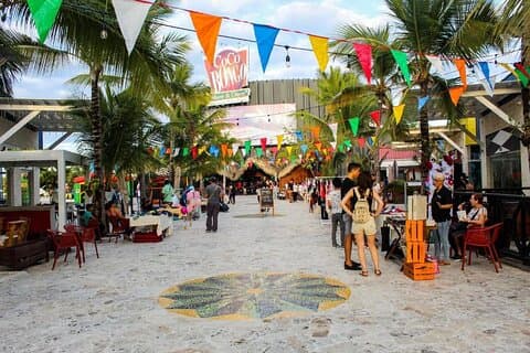 Punta Cana Guided Tour Tastings, Lunch and Macao Beach