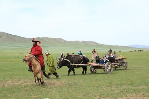 Hotell i nærheten av Nomadic Culture Show & Wild Horse Park